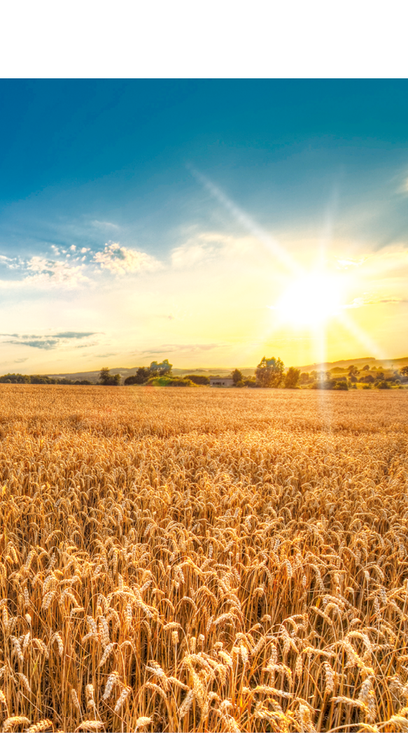 Sunset landscape in Poland  HDR image 