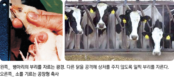   _                                                      _             