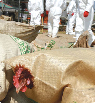  YONHAP PHOTO-0539                    (       )                               15                      AI                                                                  srbaek yna co kr 2008-04-15 13:29:09          1980-2008                      