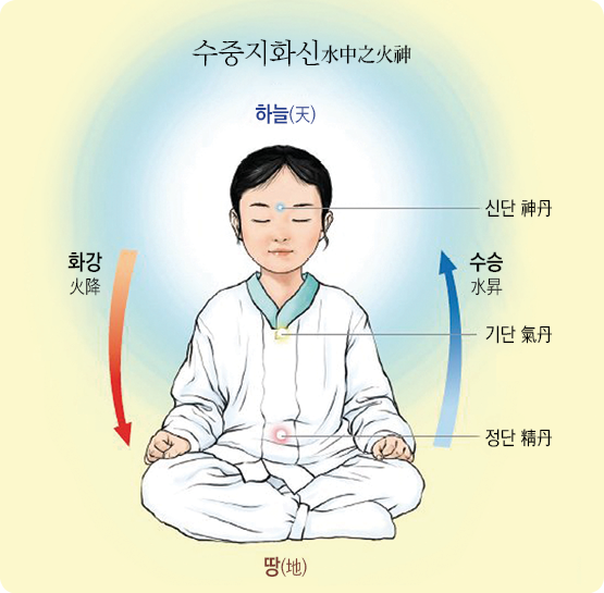  ( ),     ,     ,     ,      ,      ,  ( ),         